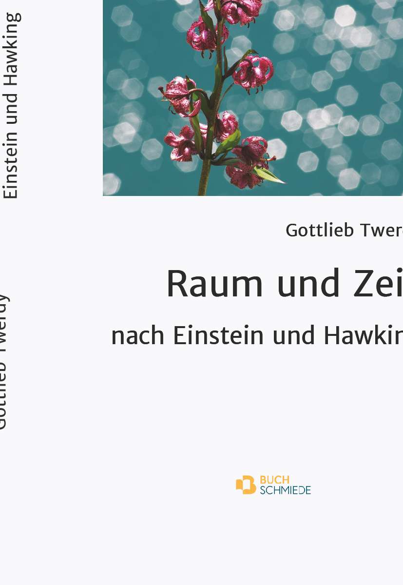 Coverbild des Buchs Raum und Zeit