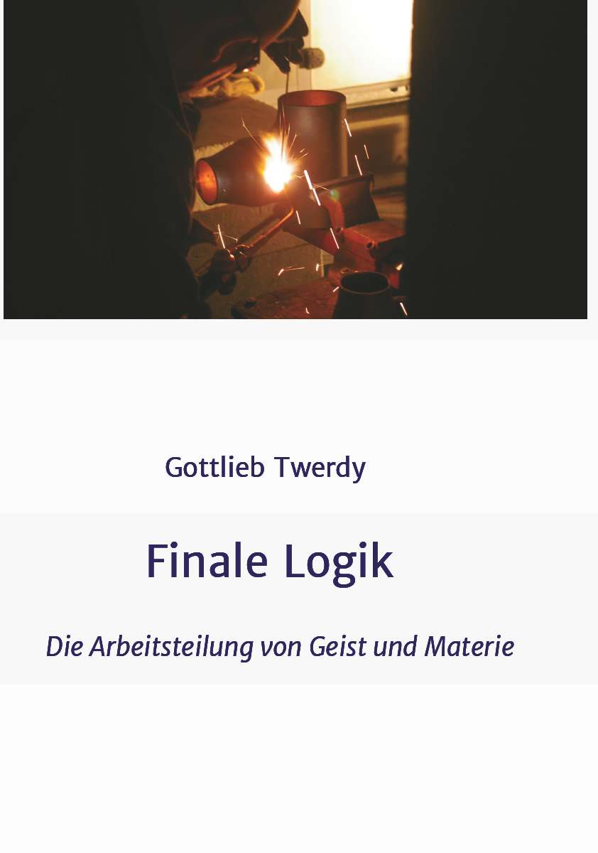 Coverbild des Buchs Finale Logik