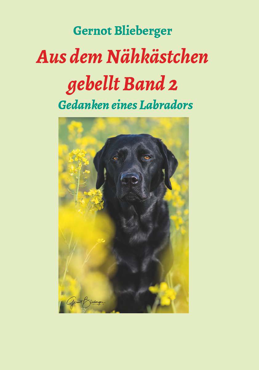 Coverbild des Buchs Aus dem Nähkästchen gebellt Band 2