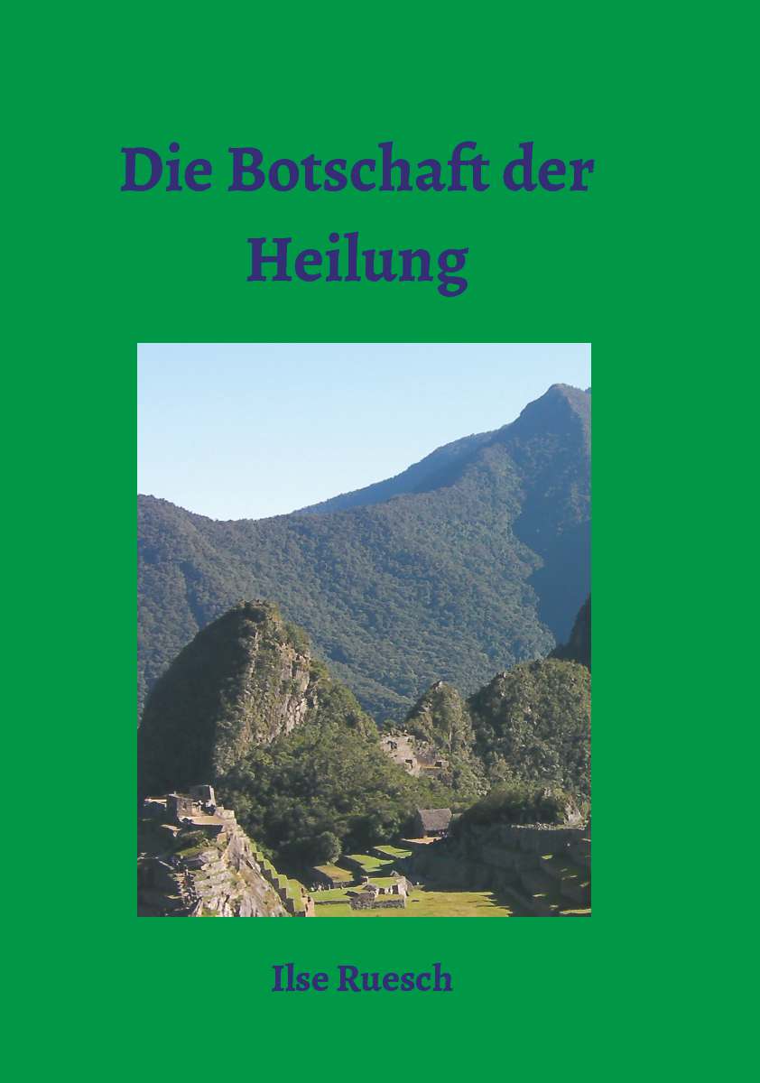 Coverbild des Buchs Die Botschaft der Heilung