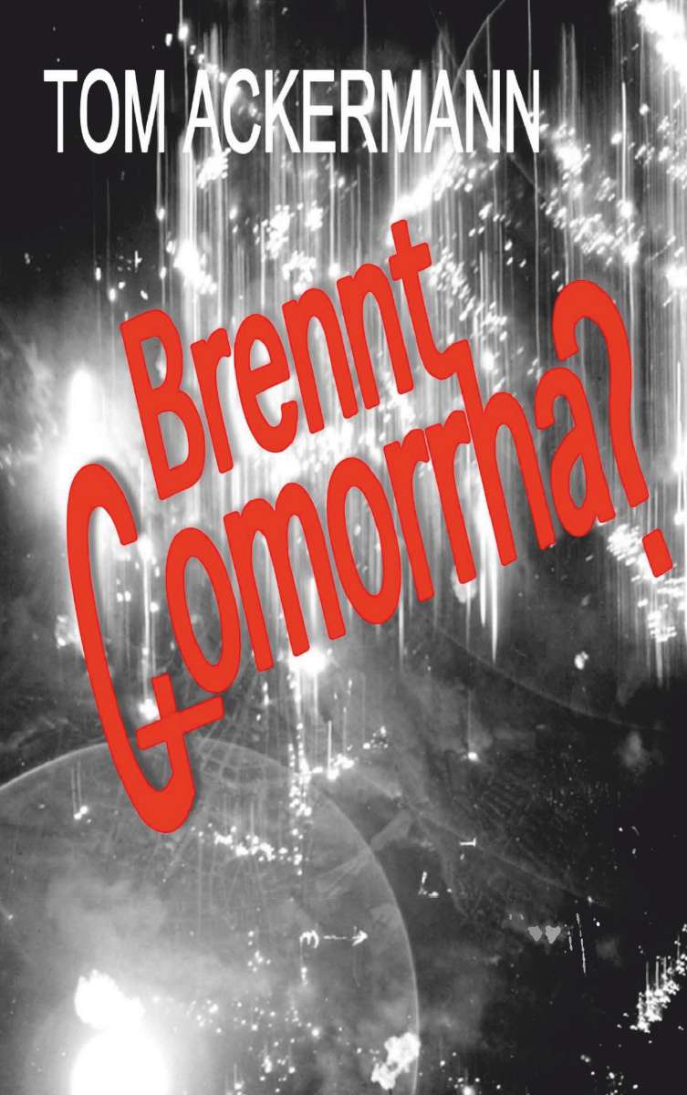 Coverbild des Buchs Brennt Gomorrha?