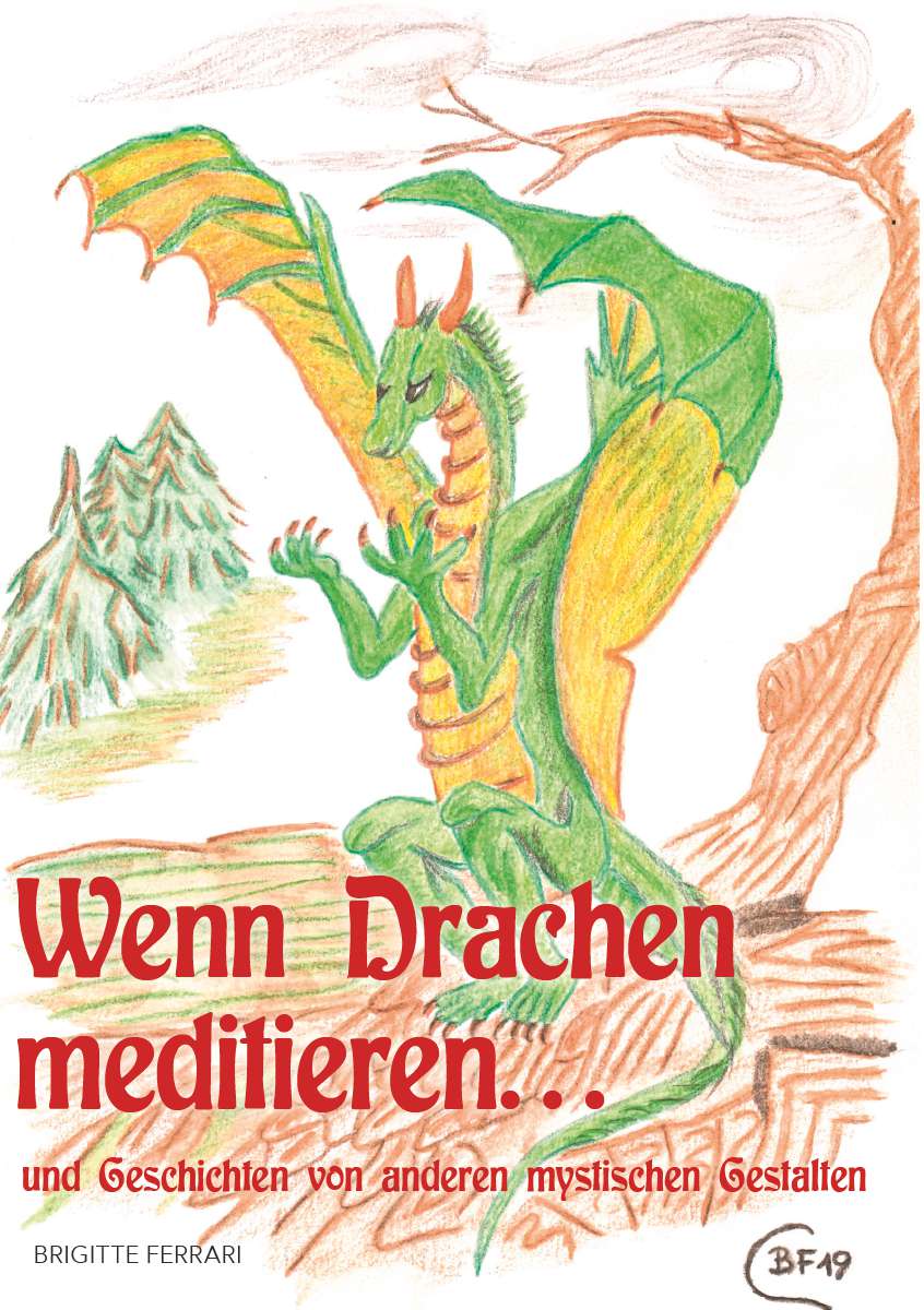 Coverbild des Buchs Wenn Drachen meditieren ...