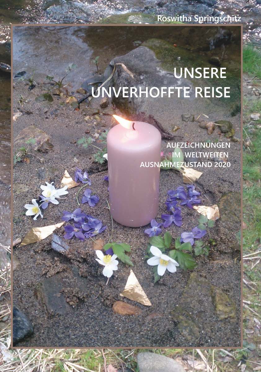 Coverbild des Buchs Unsere unverhoffte Reise