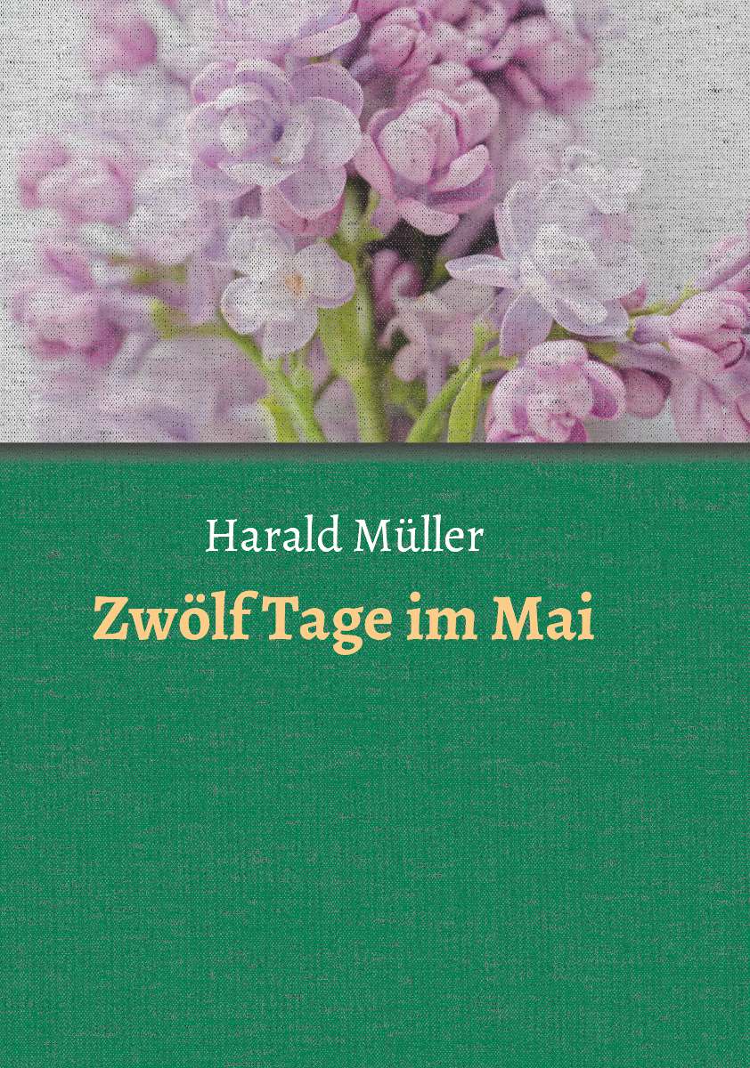 Coverbild des Buchs Zwölf Tage im Mai
