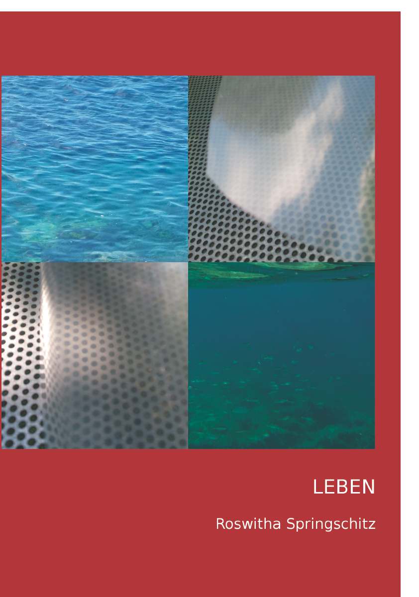 Coverbild des Buchs Leben