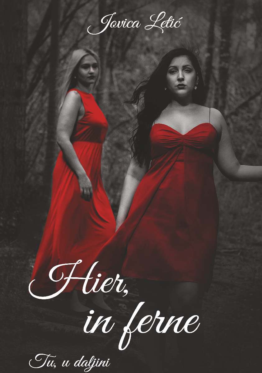 Coverbild des Buchs Hier, in Ferne