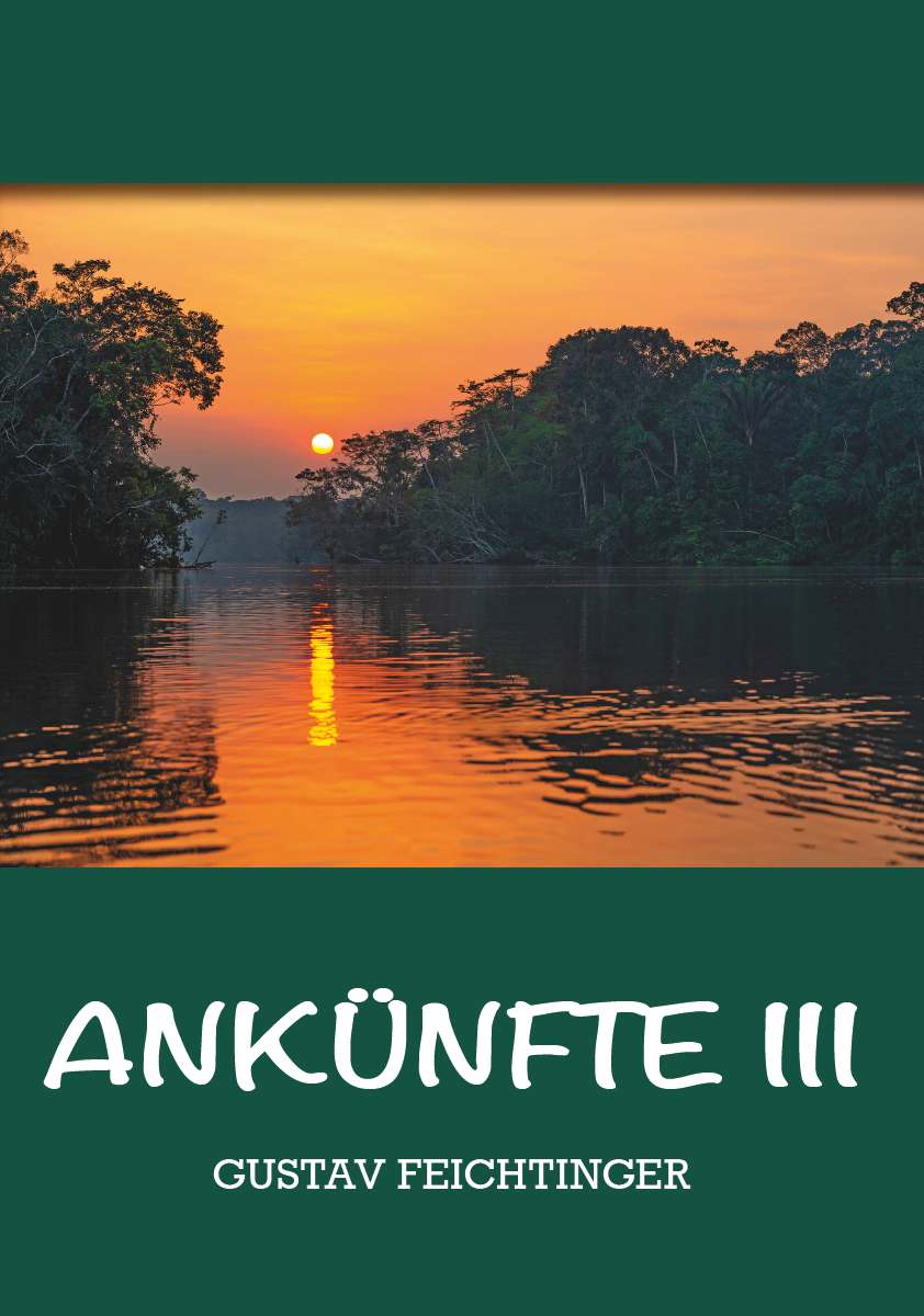 Coverbild des Buchs Ankünfte 3