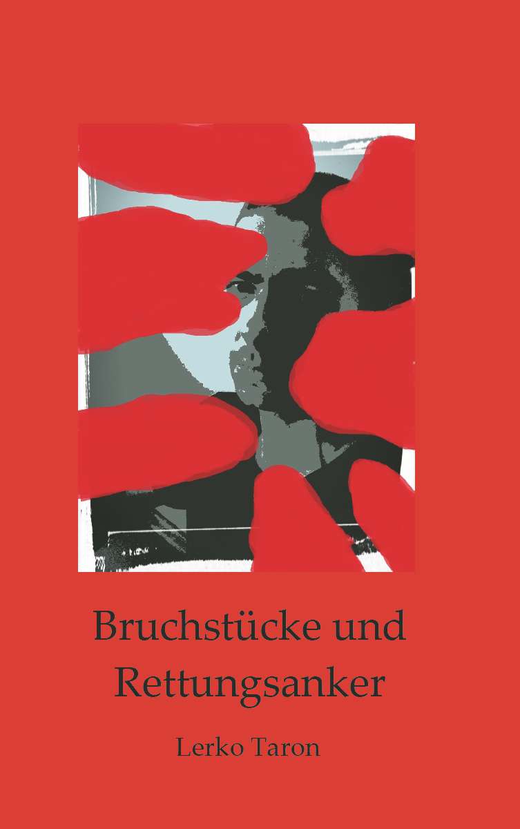 Coverbild des Buchs Bruchstücke und Rettungsanker