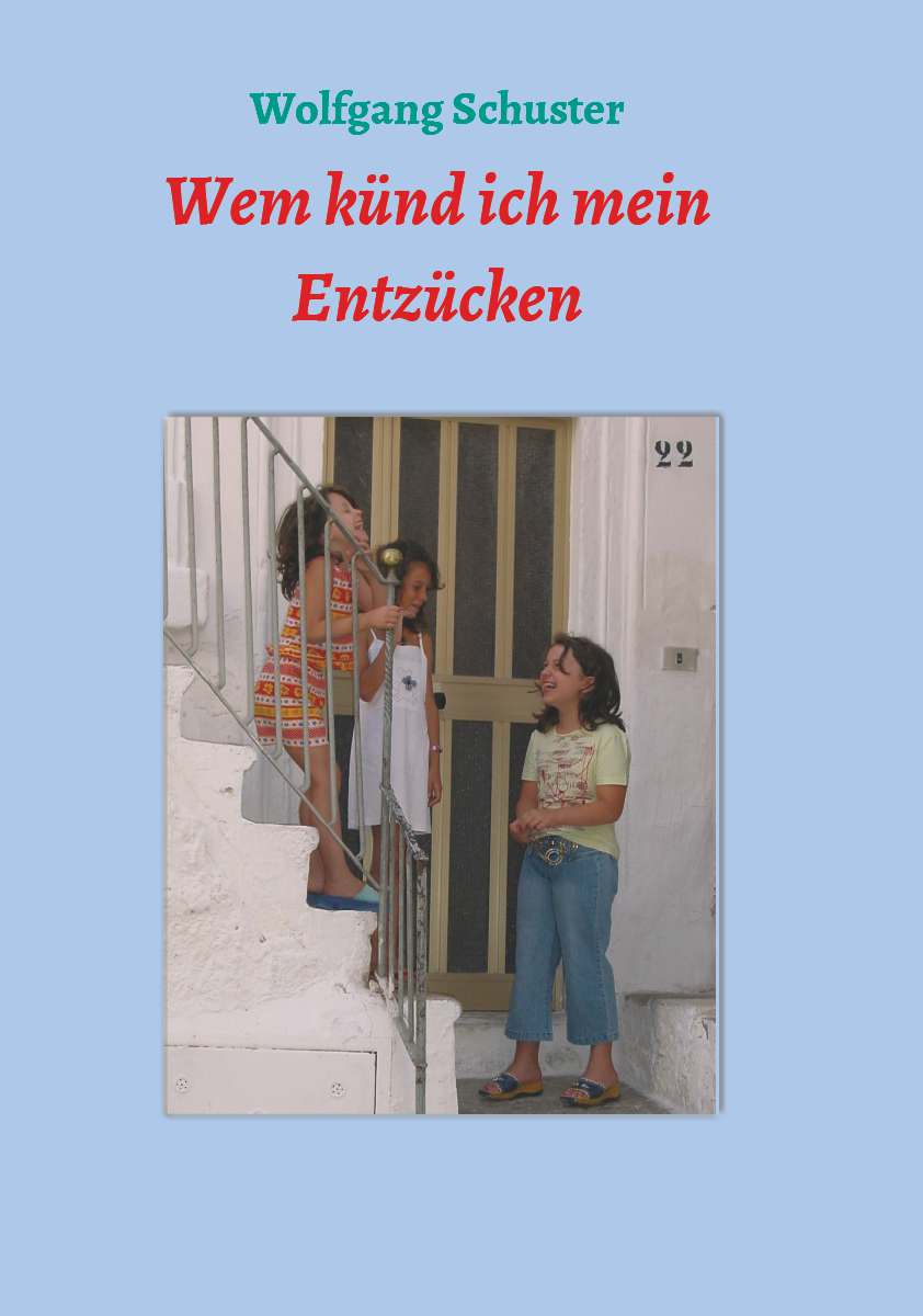 Coverbild des Buchs Wem künd ich mein Entzücken