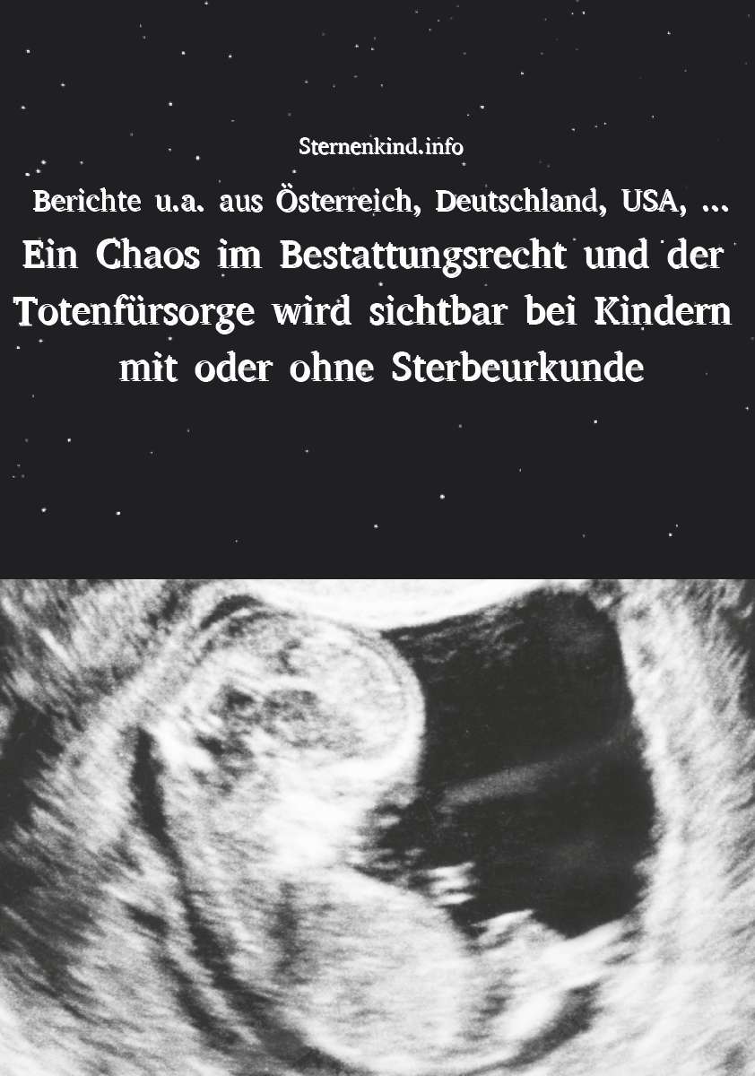 Coverbild des Buchs Ein Chaos im Bestattungsrecht und der Totenfürsorge