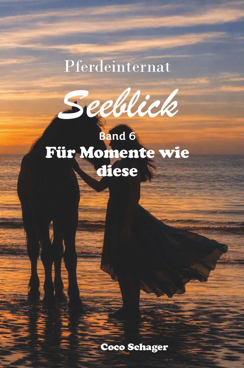 Coverbild des Buchs Pferdeinternat Seeblick Band 6