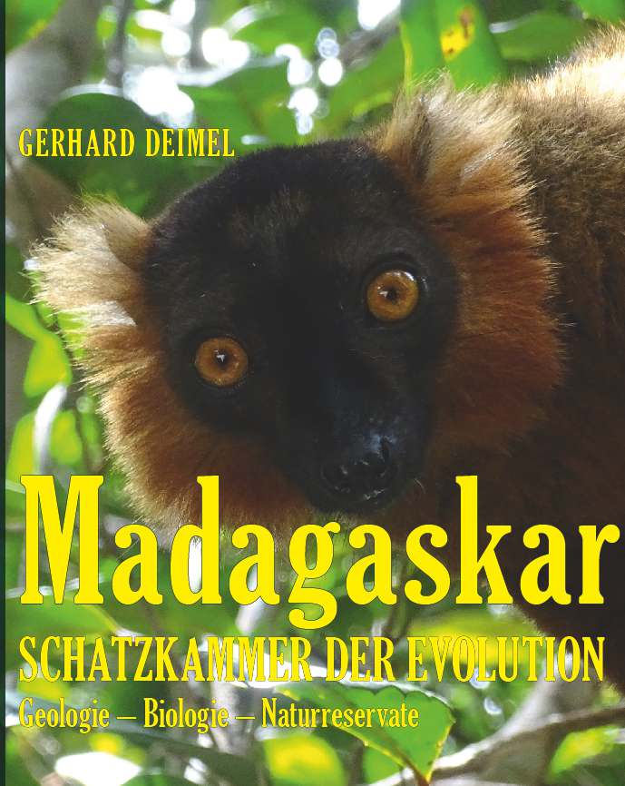 Coverbild des Buchs MADAGASKAR – SCHATZKAMMER DER EVOLUTION