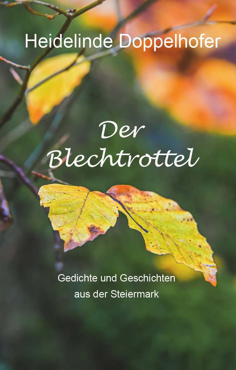 Coverbild des Buchs Der Blechtrottel