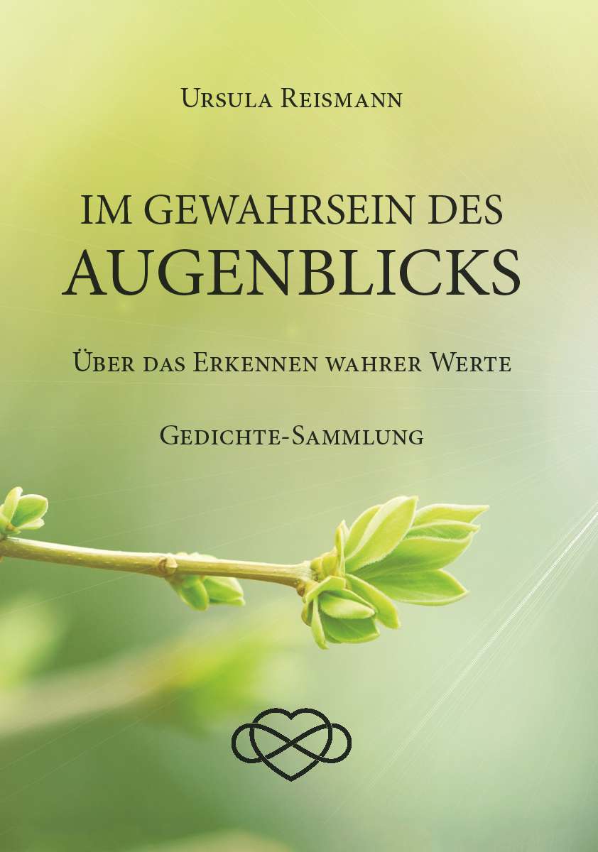 Coverbild des Buchs Im Gewahrsein des Augenblicks