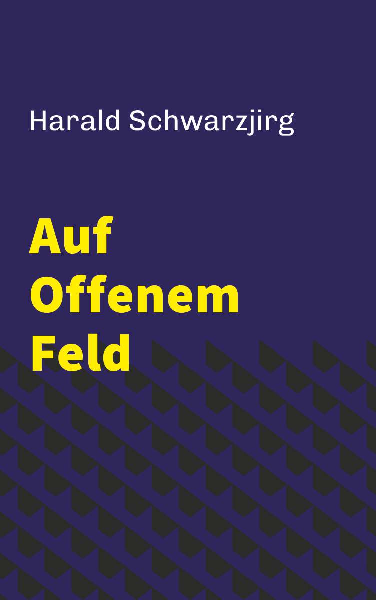 Coverbild des Buchs Auf offenem Feld