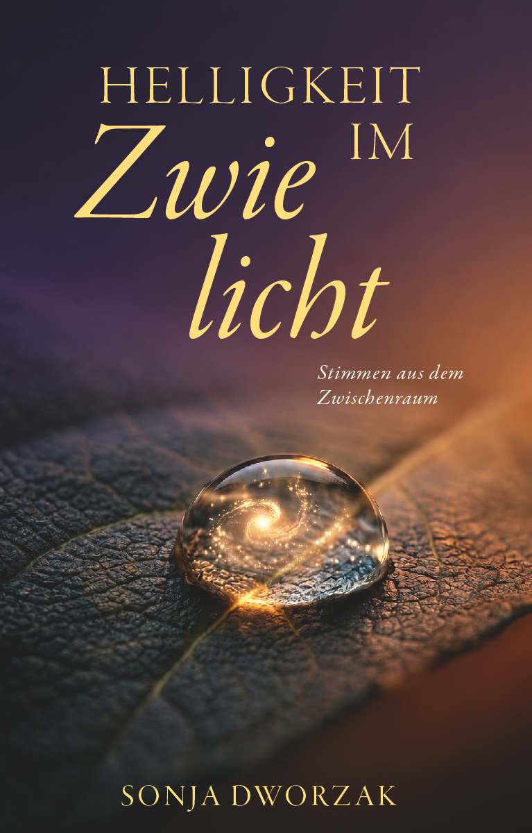 Coverbild des Buchs Helligkeit im Zwielicht