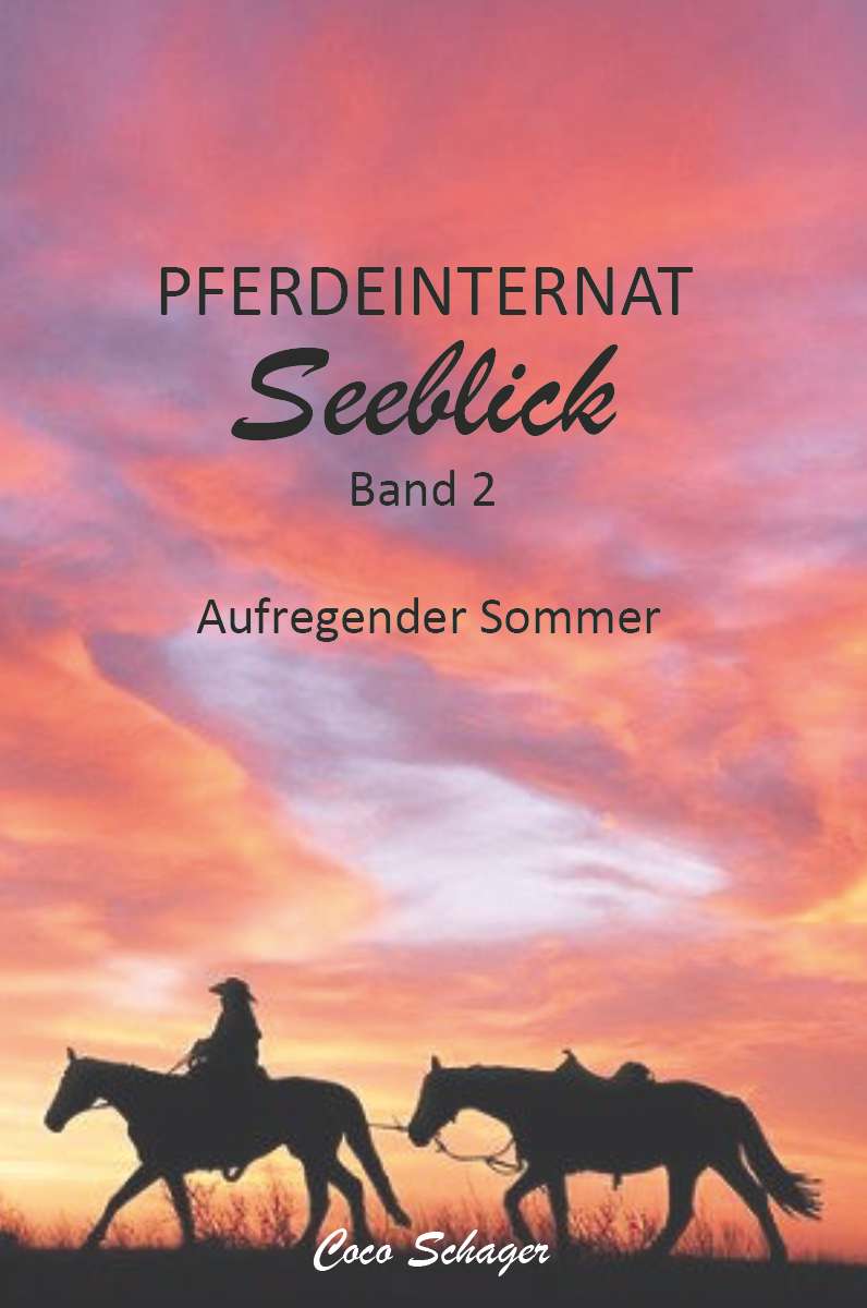 Coverbild des Buchs Pferdeinternat Seeblick Band 2