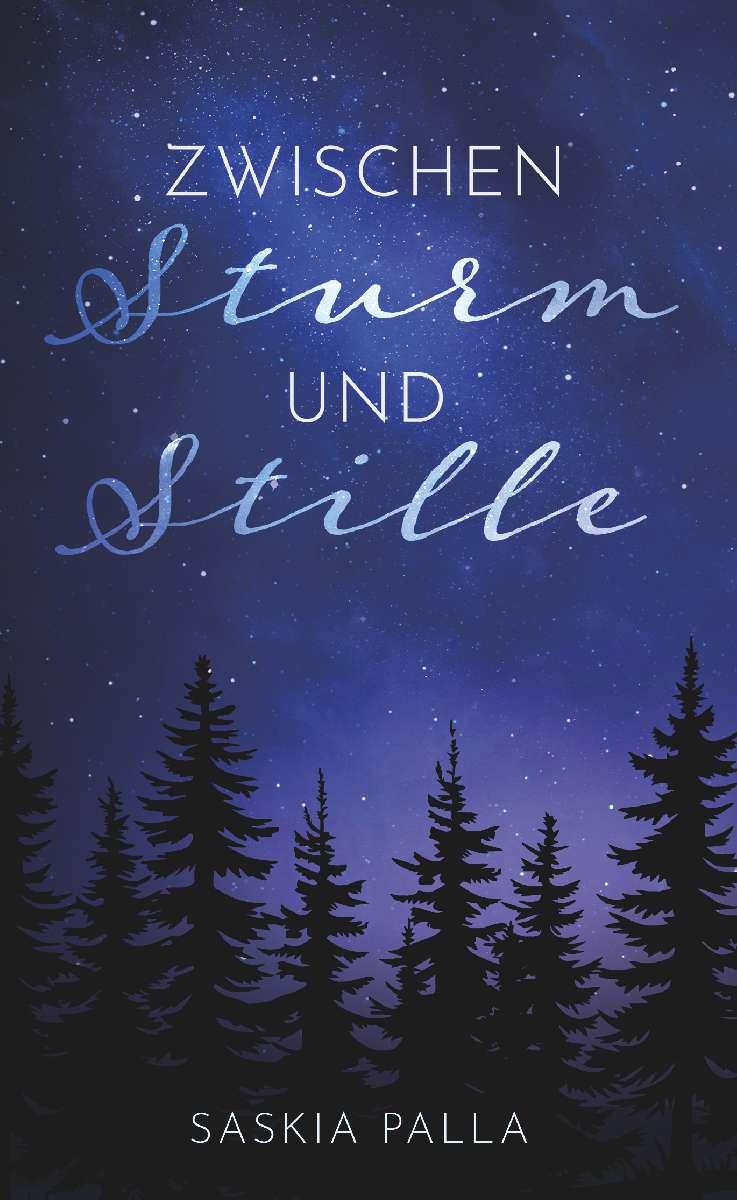Coverbild des Buchs Zwischen Sturm und Stille