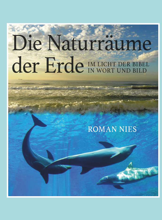 Coverbild des Buchs