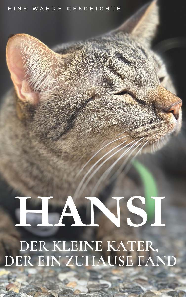 Coverbild des Buchs Hansi. Der kleine Kater, der ein Zuhause fand.