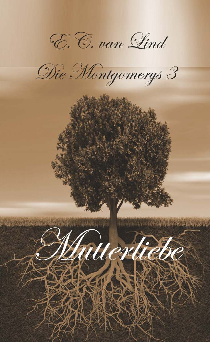 Coverbild des Buchs Die Montgomerys Band 3