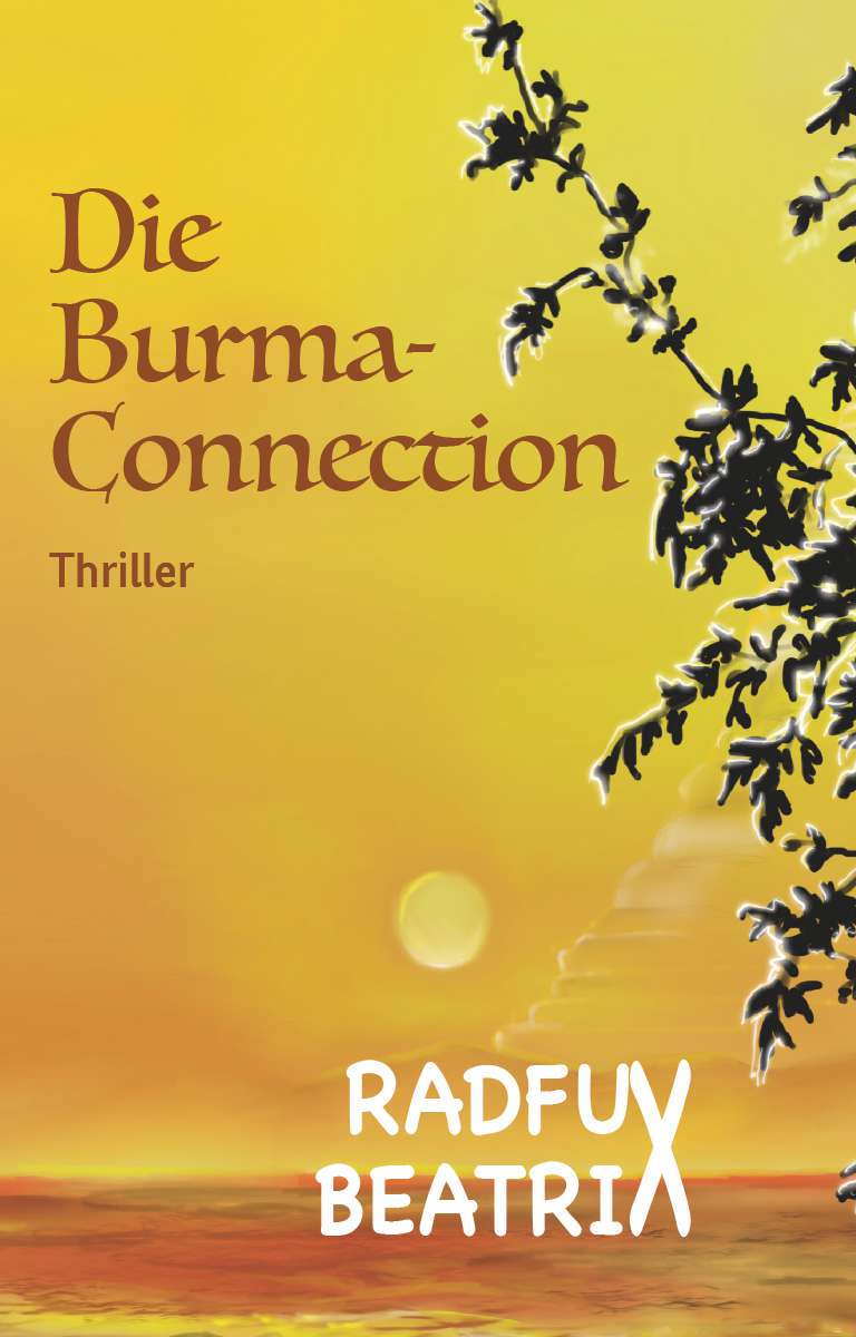 Coverbild des Buchs Die Burma-Connection