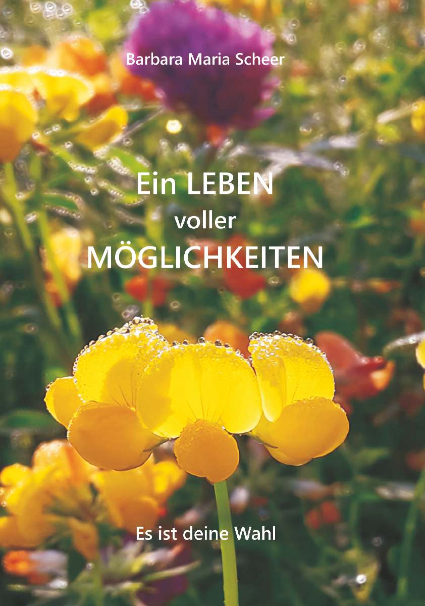 Coverbild des Buchs Ein LEBEN voller MÖGLICHKEITEN