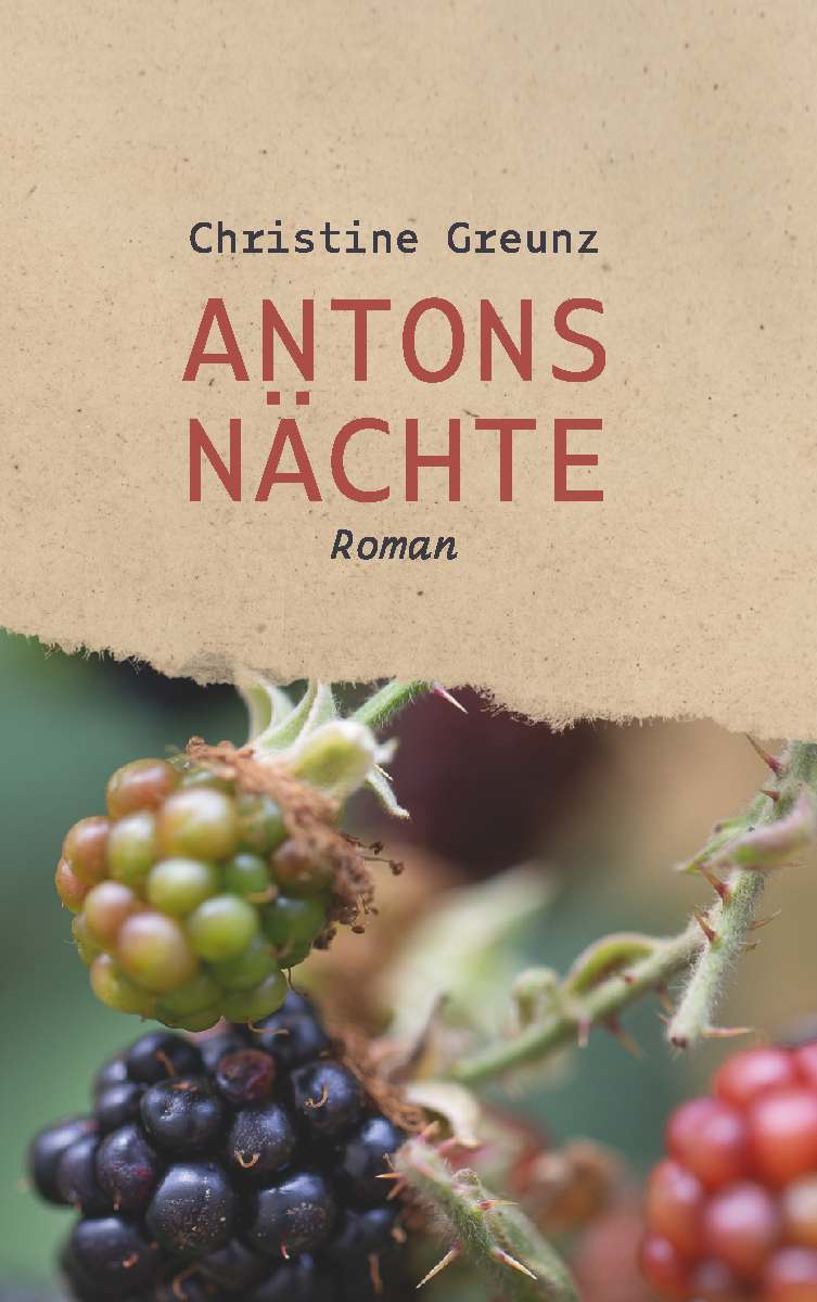 Coverbild des Buchs Antons Nächte