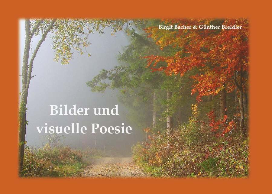 Coverbild des Buchs Bilder und visuelle Poesie