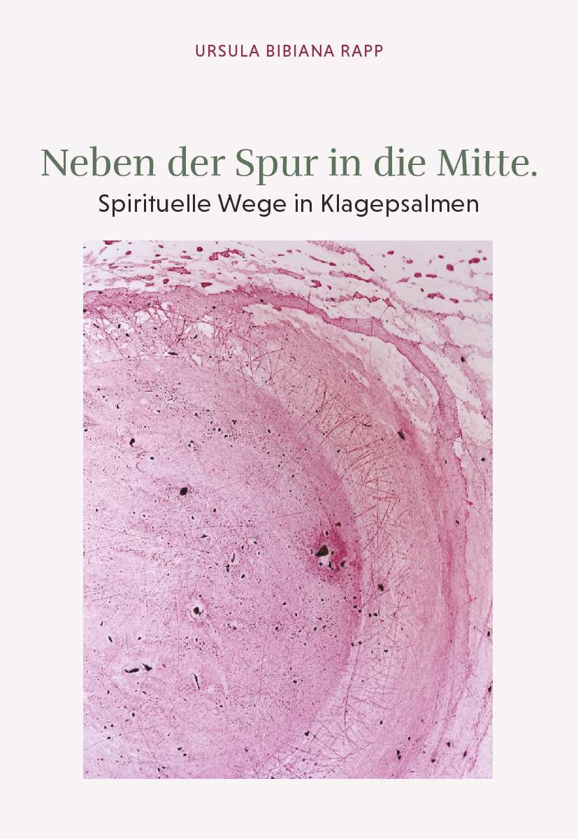Coverbild des Buchs Neben der Spur in die Mitte