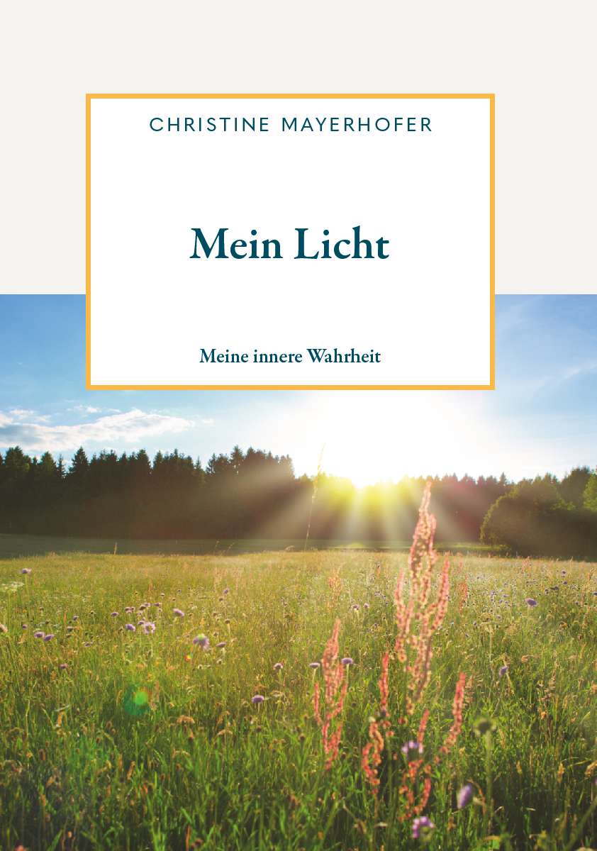 Coverbild des Buchs Mein Licht