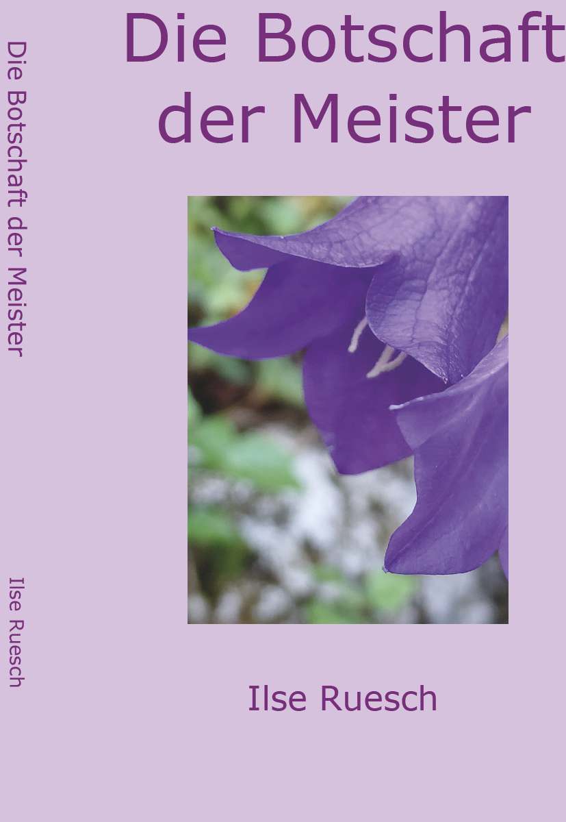 Coverbild des Buchs Die Botschaft der Meister
