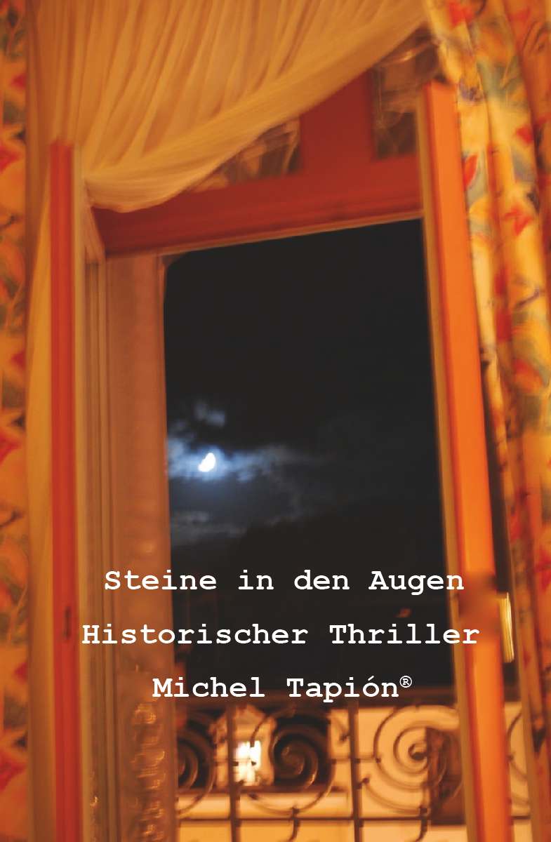 Coverbild des Buchs Steine in den Augen
