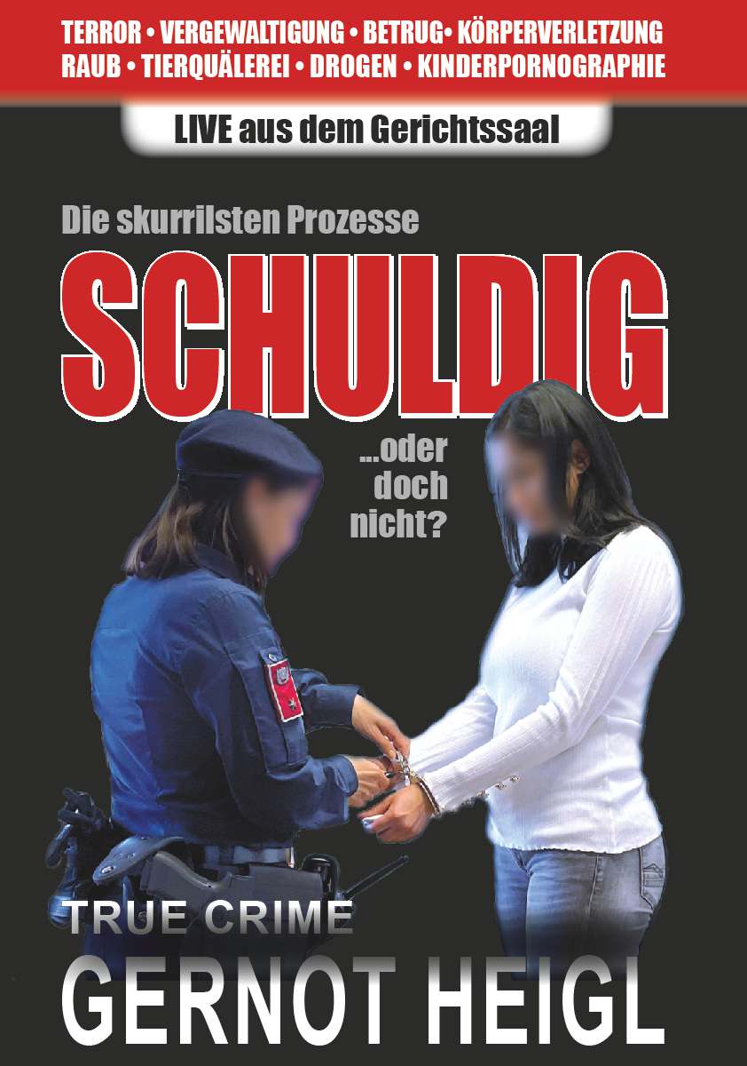 Coverbild des Buchs Schuldig