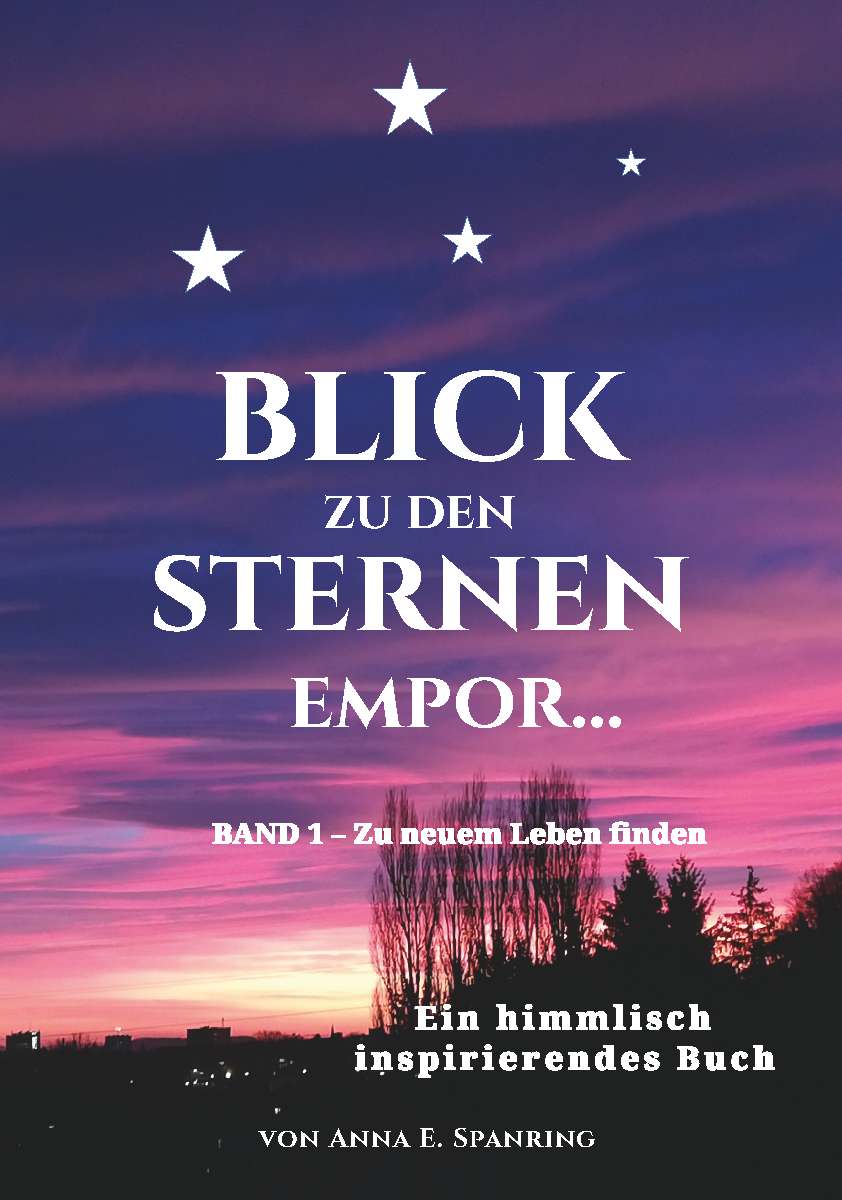 Coverbild des Buchs Blick zu den Sternen empor...