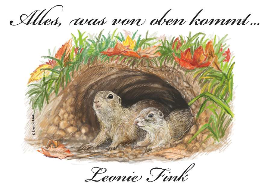 Coverbild des Buchs Alles was von oben kommt …