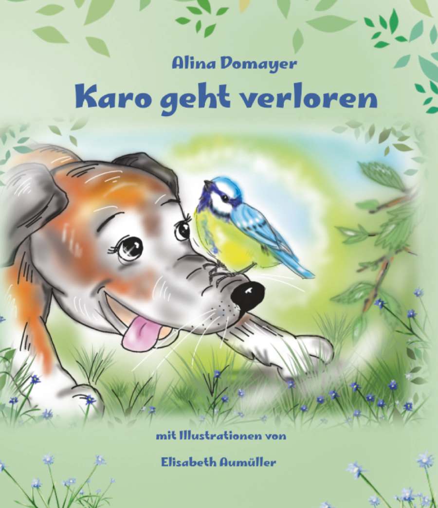 Coverbild des Buchs Karo geht verloren 