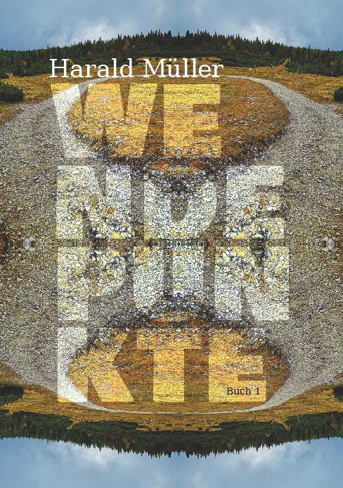 Coverbild des Buchs Wendepunkte